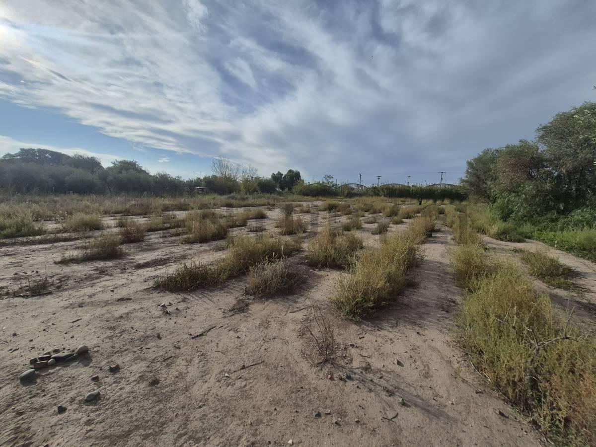 Foto de OPORTUNIDAD VENTA LOTE INDUSTRIAL, imagen 4