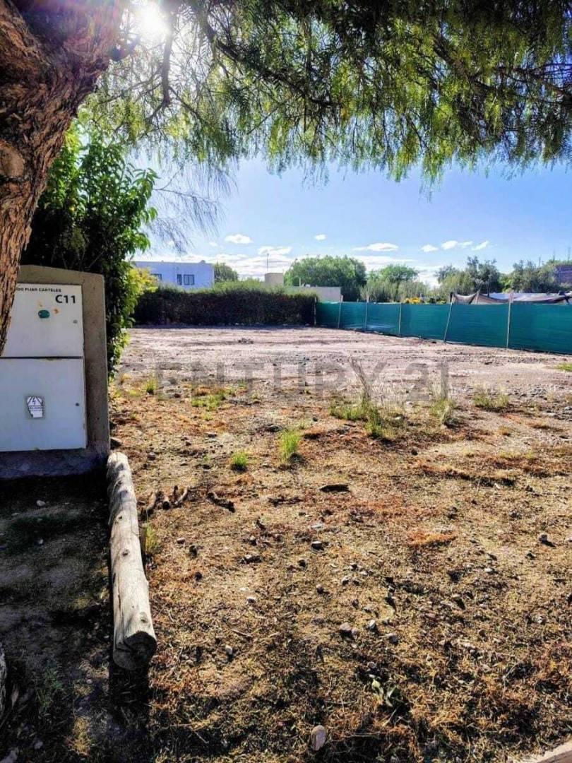 Foto de Se vende lote. Lujan de cuyo, imagen 1