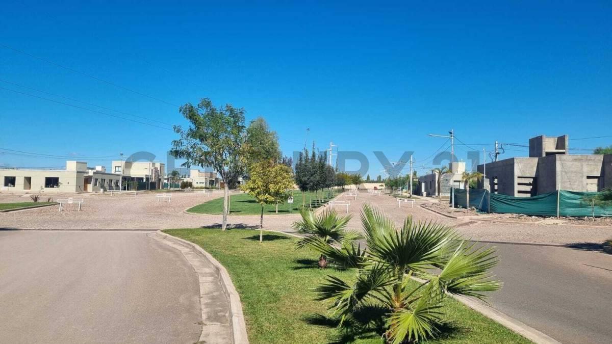 Foto de Lote en Venta B° Vista Oliva Maipú, imagen 3