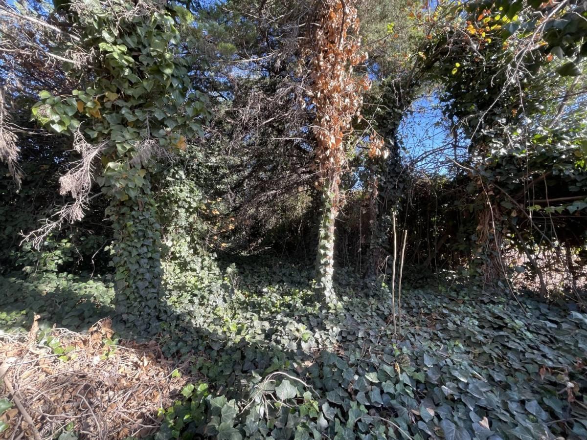Foto de Lote en venta, imagen 2