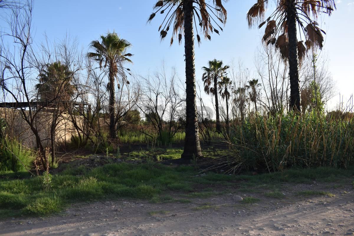 Foto de LOTE EN VENTA GUAYMALLEN, imagen 3