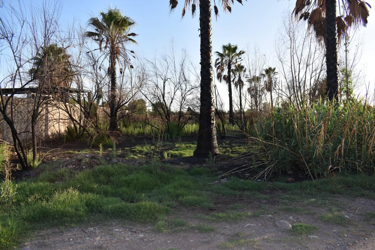 Foto de LOTE EN VENTA GUAYMALLEN, imagen 5