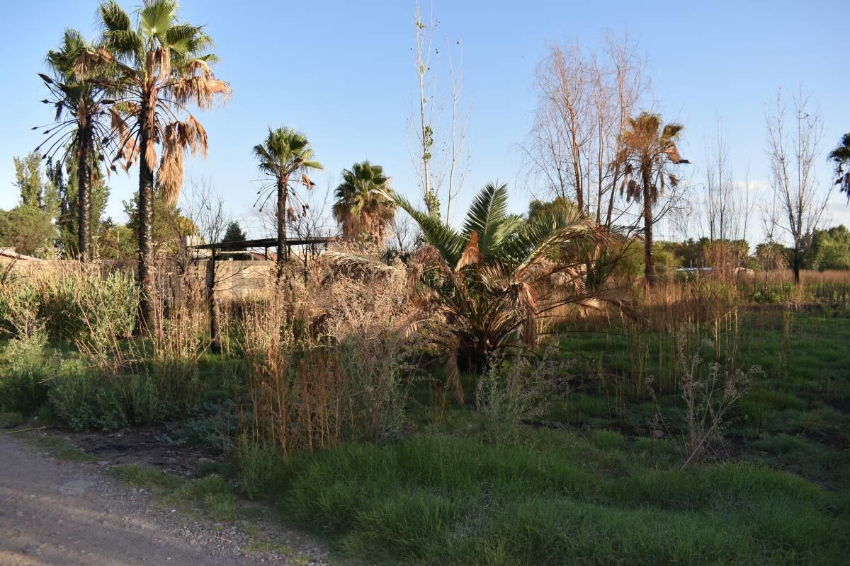 Foto de LOTE EN VENTA GUAYMALLEN, imagen 4