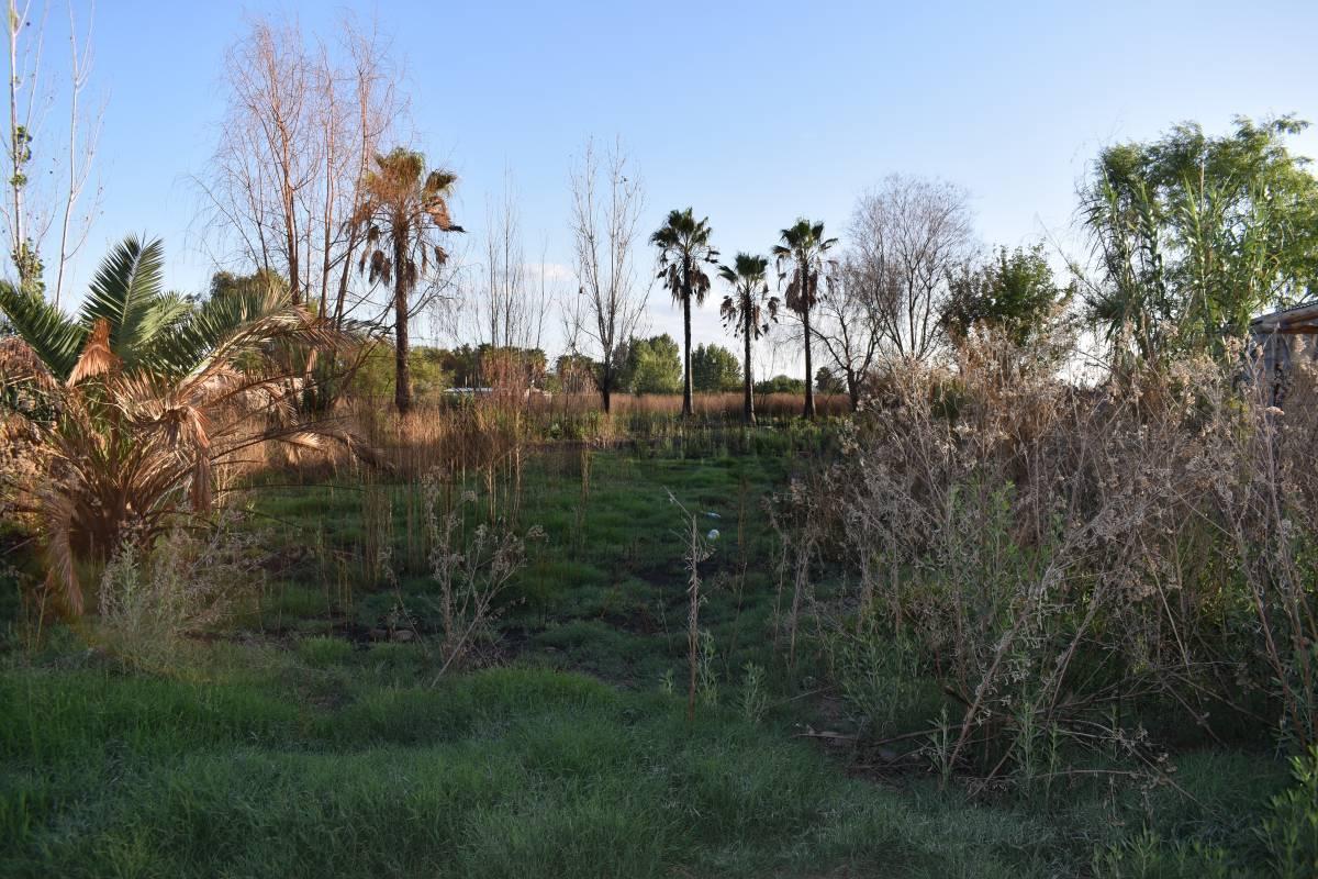 Foto de LOTE EN VENTA GUAYMALLEN, imagen 1