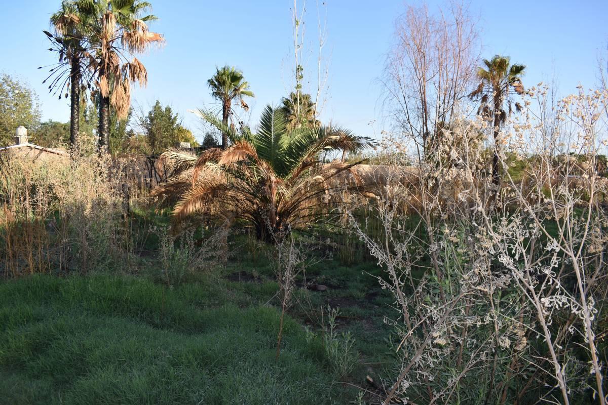 Foto de LOTE EN VENTA GUAYMALLEN, imagen 5