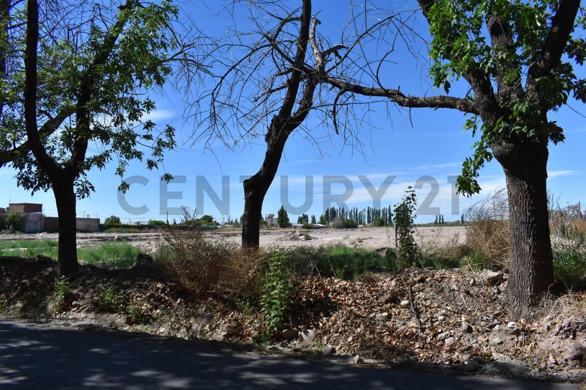 Foto de LOTE EN VENTA - CRUZ DE PIEDRA MAIPU, imagen 2