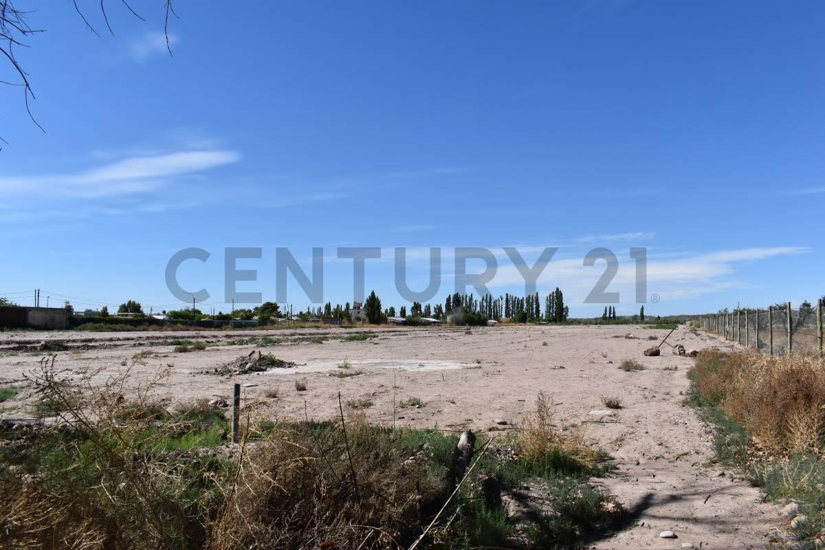 Foto de LOTE EN VENTA - CRUZ DE PIEDRA MAIPU, imagen 1