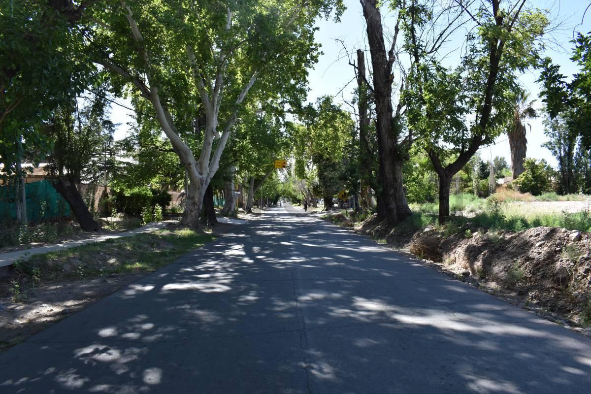 Foto de LOTE EN VENTA - CRUZ DE PIEDRA MAIPU, imagen 4