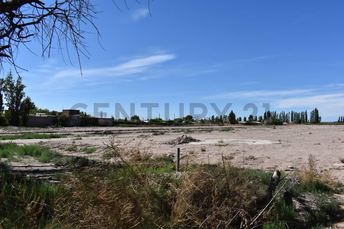 Foto de LOTE EN VENTA - CRUZ DE PIEDRA MAIPU, imagen 3
