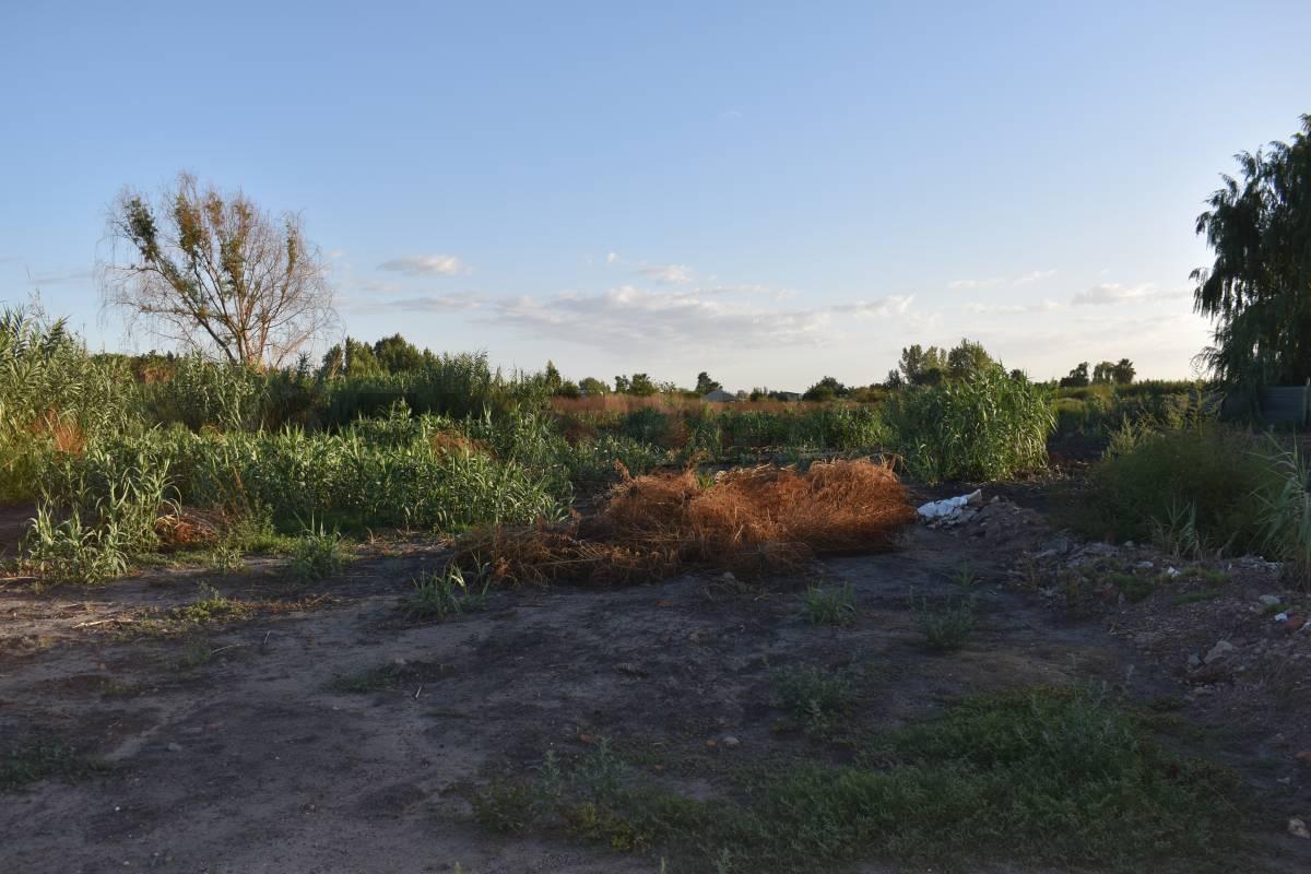 Foto de LOTE EN VENTA GUAYMALLEN, imagen 2