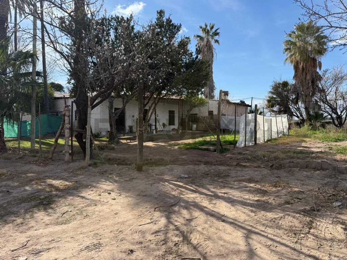 Foto de Finca en Venta, Rodeo del Medio, Maipú, Mendoza, imagen 2