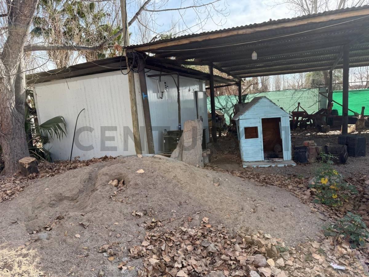 Foto de Finca en Venta, Rodeo del Medio, Maipú, Mendoza, imagen 4