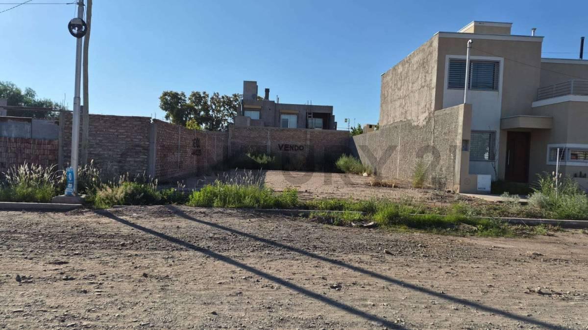 Foto de LOTEN EN VENTA,LAS HERAS MENDOZA., imagen 5