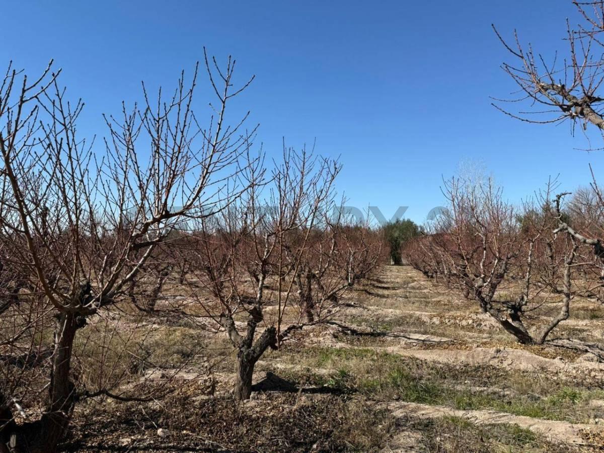 Foto de VENTA TERRENO EN COQUIMBITO MAIPU, imagen 5
