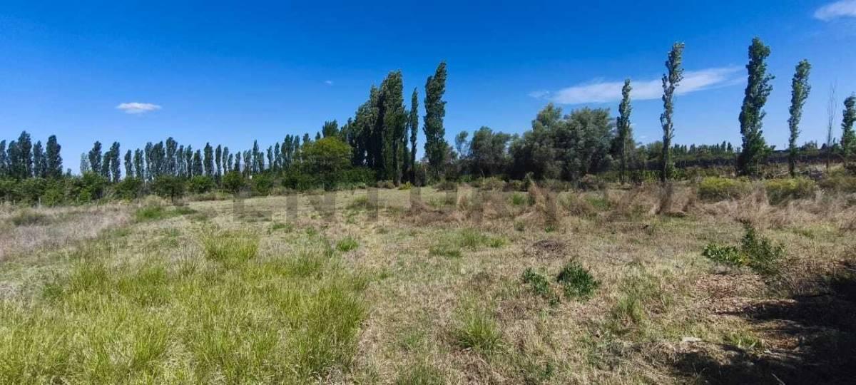 Foto de LOTE EN VENTA EXCELENTE UBICACION, imagen 4