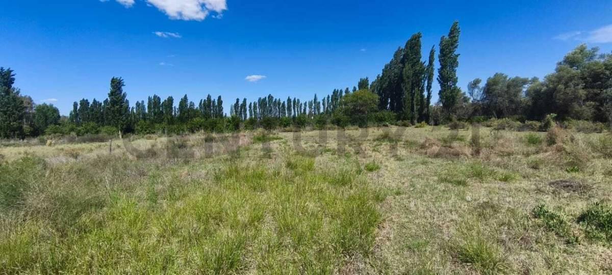 Foto de LOTE EN VENTA EXCELENTE UBICACION, imagen 2