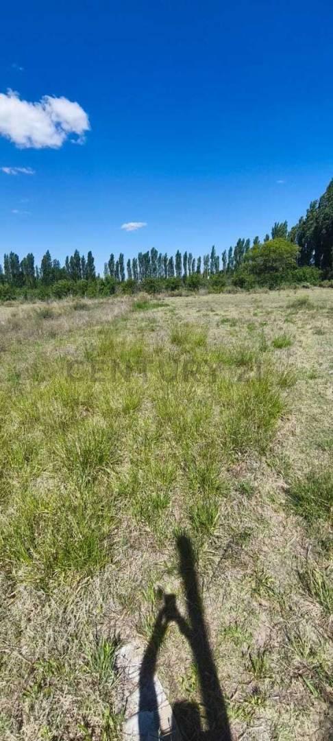 Foto de LOTE EN VENTA EXCELENTE UBICACION, imagen 1