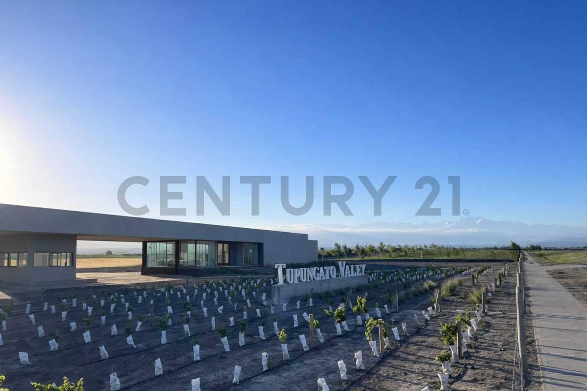 Foto de Lote en Venta en Tupungato, imagen 1