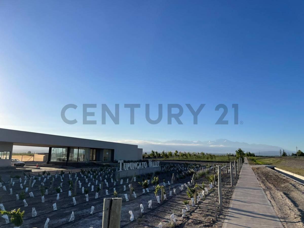 Foto de Lote en Venta en Tupungato, imagen 5