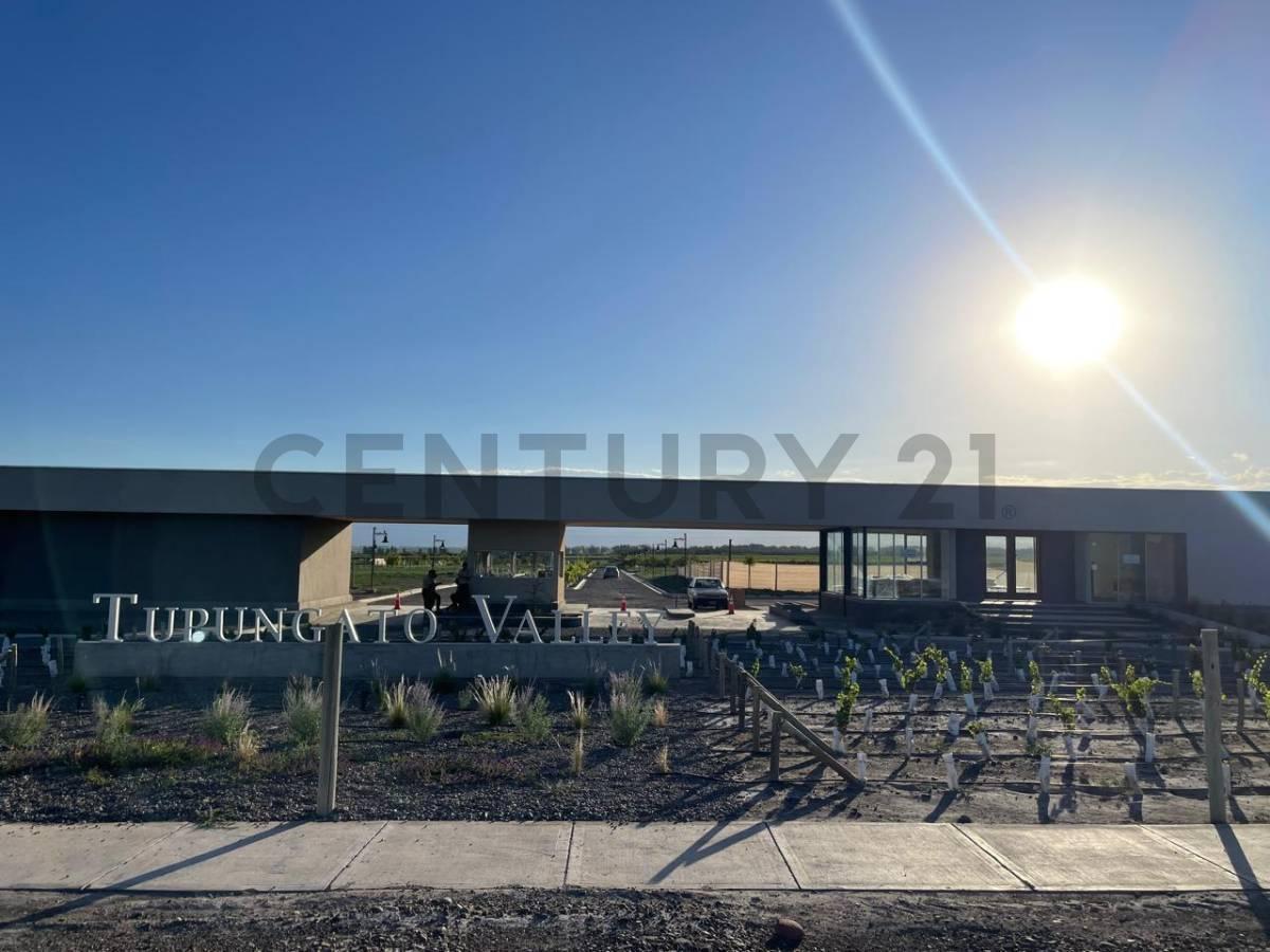 Foto de Lote en Venta en Tupungato, imagen 3