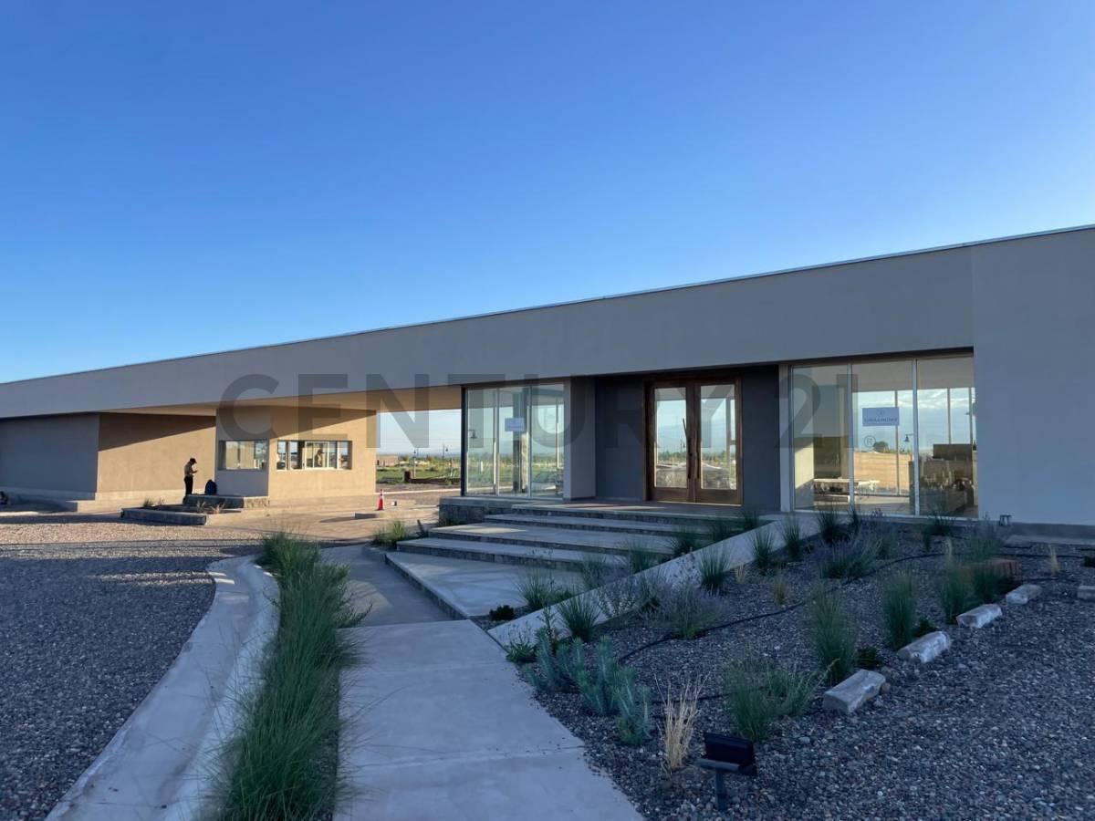 Foto de Lote en Venta en Tupungato, imagen 4