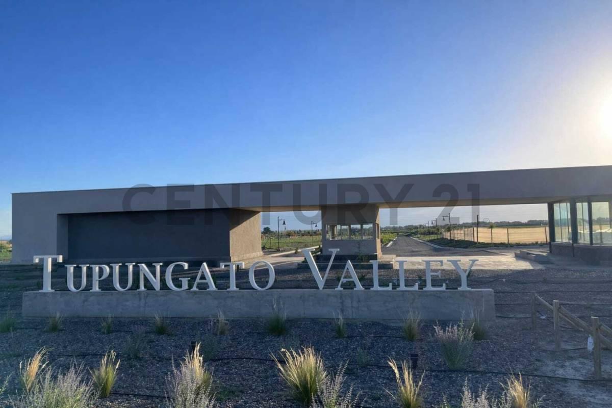 Foto de Lote en Venta en Tupungato, imagen 2