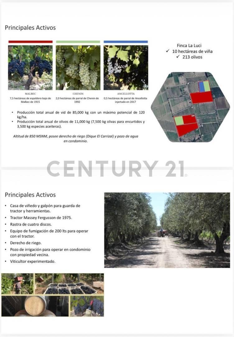 Foto de VENTA FINCA EN RODRIGUEZ PEÑA JUNIN, imagen 2