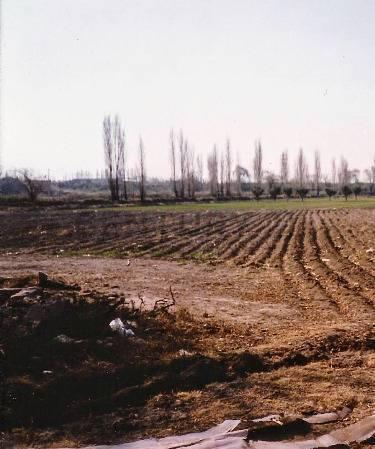 Foto de Lote en venta, imagen 1