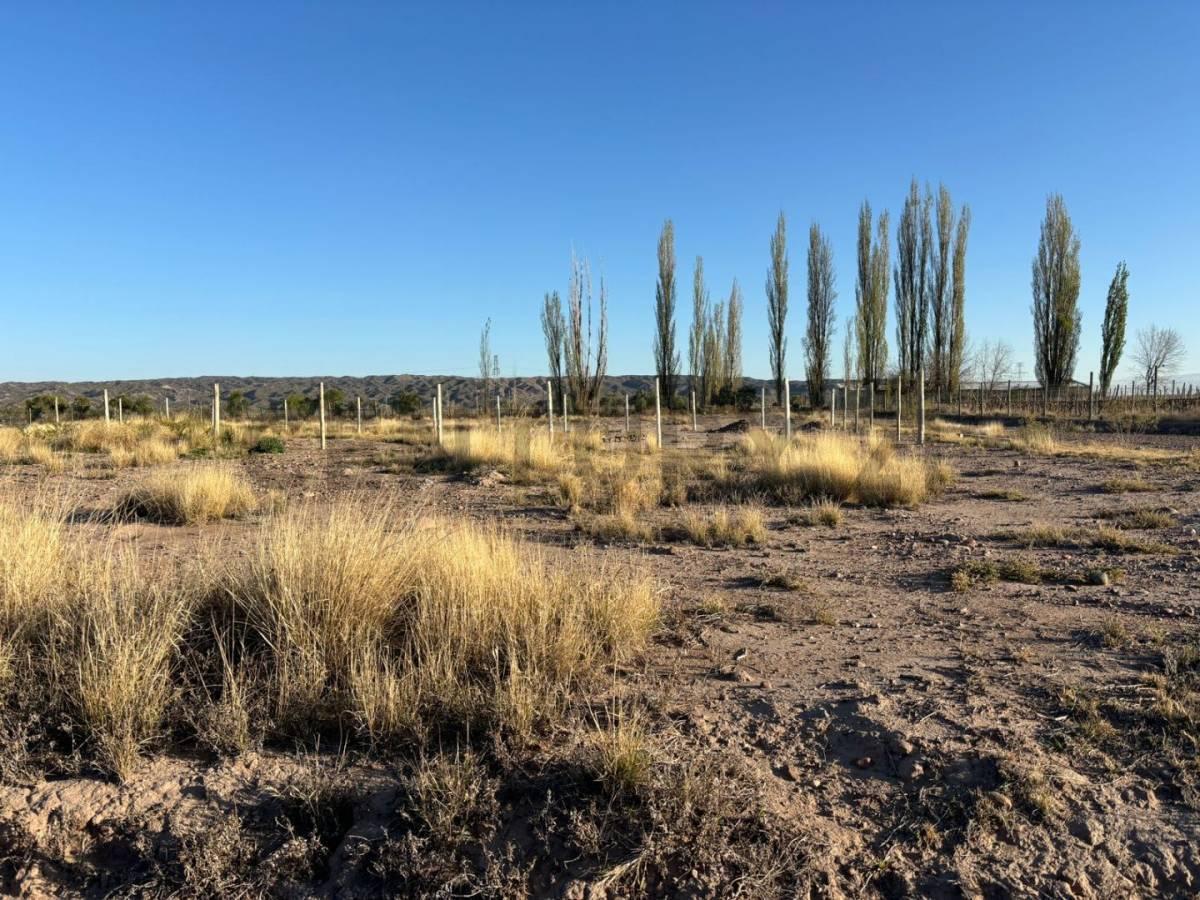 Foto de Lote en venta, imagen 3