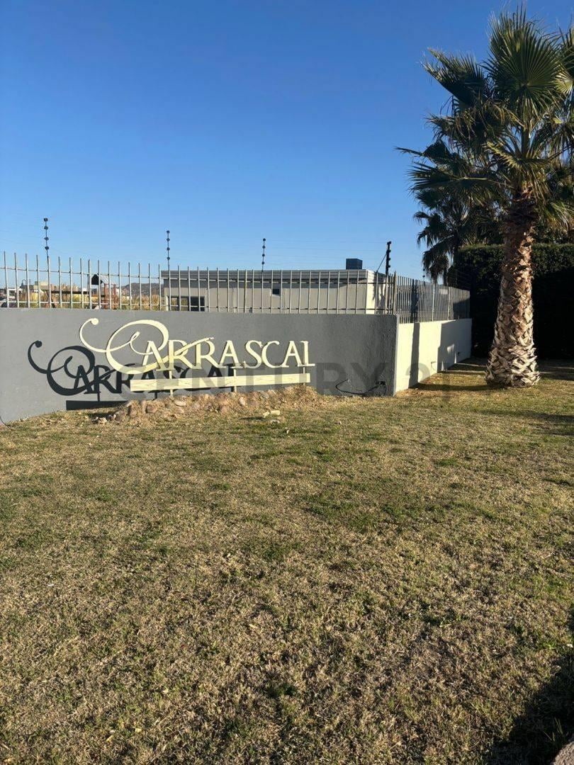 Foto de Lote en venta, imagen 4