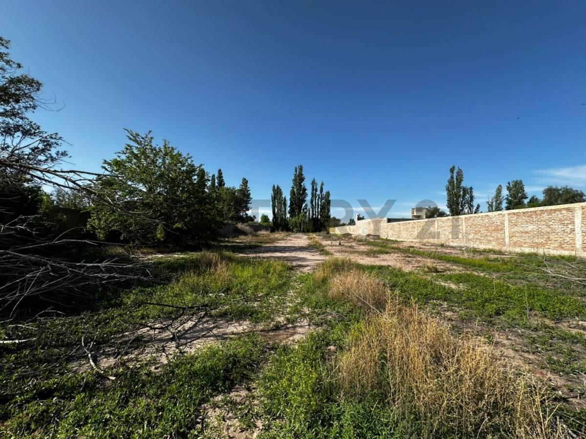 Foto de Lote en venta, imagen 3