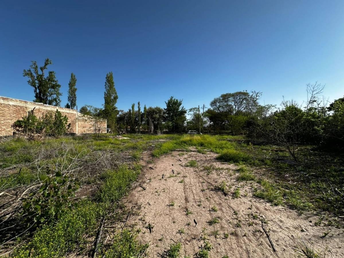 Foto de Lote en venta, imagen 5
