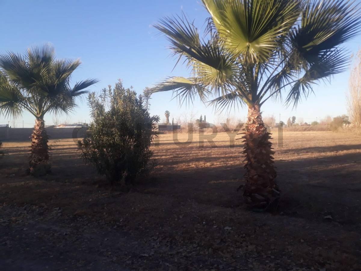 Foto de Lote en venta, imagen 5