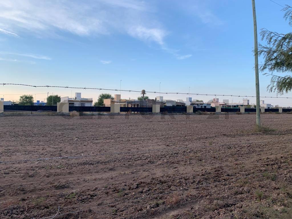 Foto de lotes en venta sobre ruta 34 a metros de ruta 40 en lavalle mendoza en, imagen 4