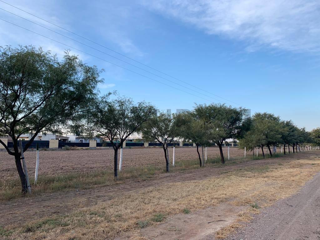 Foto de lotes en venta sobre ruta 34 a metros de ruta 40 en lavalle mendoza en, imagen 2