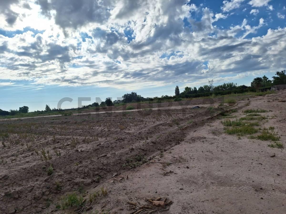 Foto de VENTA TERRENO 2 HECTAREAS EN GUAYMALLEN - IDEAL LOTEO O FINCA, imagen 2