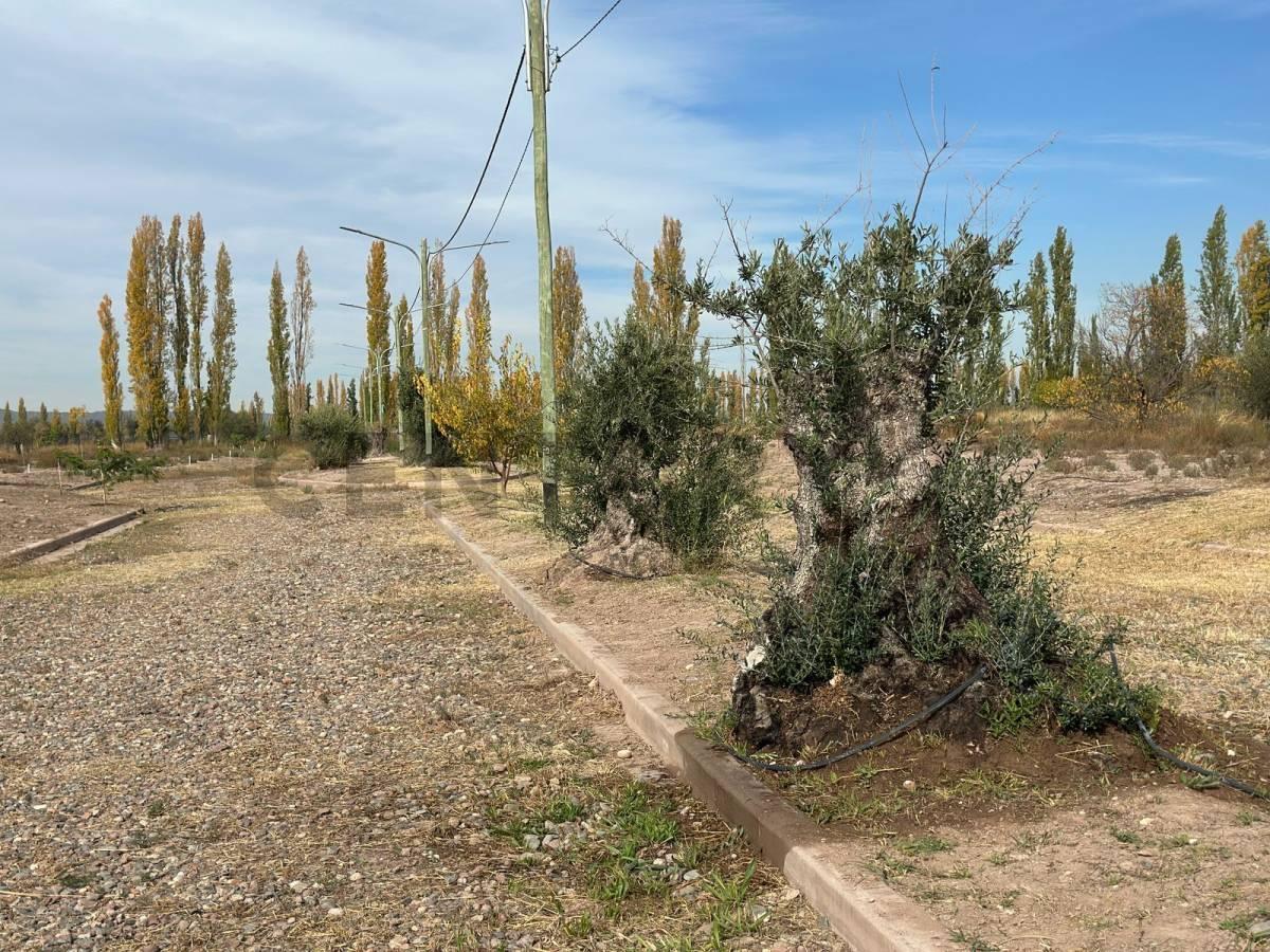 Foto de LOTE EN VENTA - BARRIO TERRA PERRUGIA, imagen 5