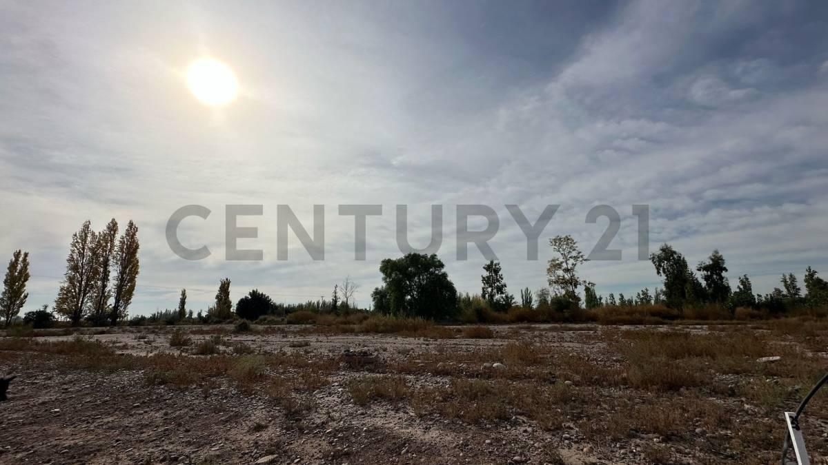 Foto de LOTE EN VENTA - BARRIO TERRA PERRUGIA, imagen 3
