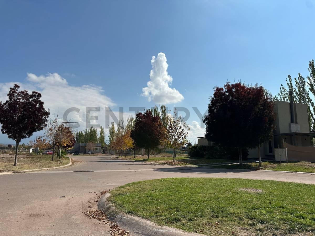 Foto de TERRENO EN VENTA EN BARRIO PRIVADO LA LUISA, imagen 3