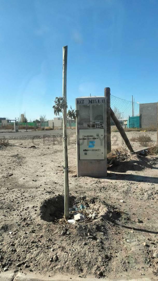 Foto de VENTA DE LOTE EN MAIPU RETAMAS, imagen 5