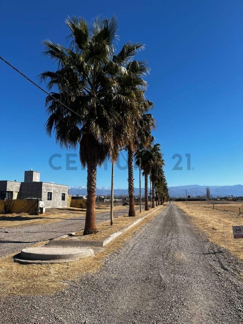 Foto de Lote en venta, imagen 5