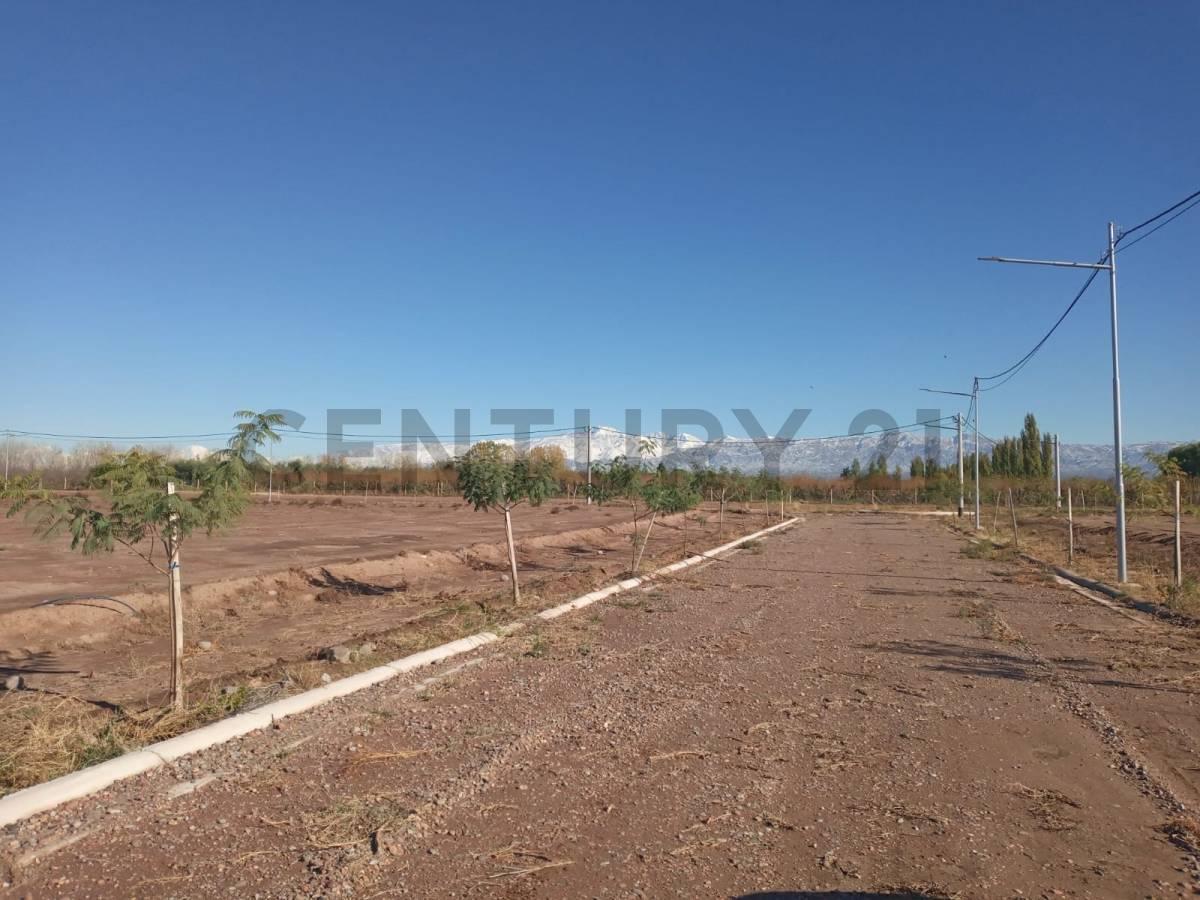 Foto de Lote en Venta Maipu, imagen 2