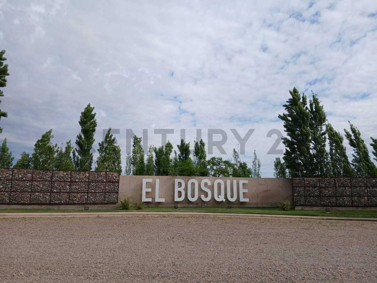 Foto de Lote en Venta, Maipú, imagen 2
