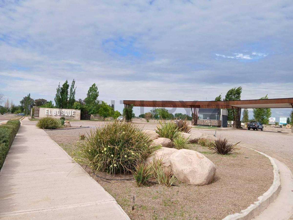 Foto de Lote en Venta, Maipú, imagen 1
