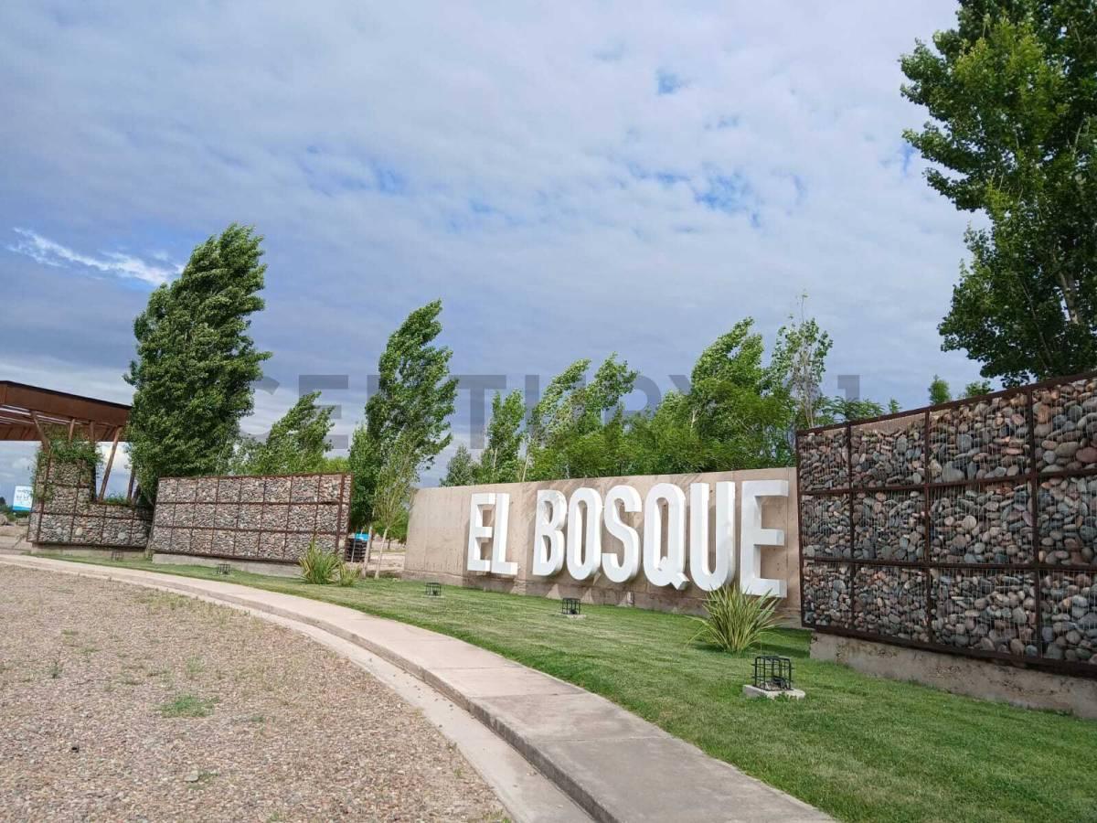 Foto de Lote en Venta, Maipú, imagen 4
