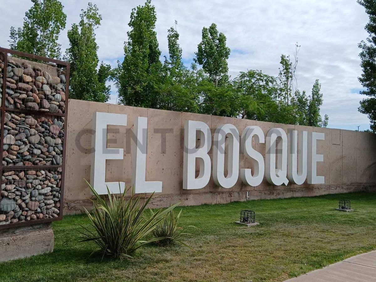 Foto de Lote en Venta, Maipú, imagen 5