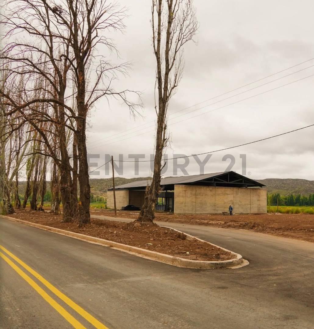 Foto de Terreno en micrópolis Penta., imagen 1