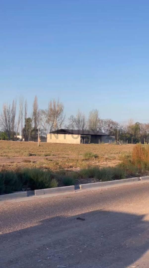 Foto de Terreno en micrópolis Penta., imagen 2