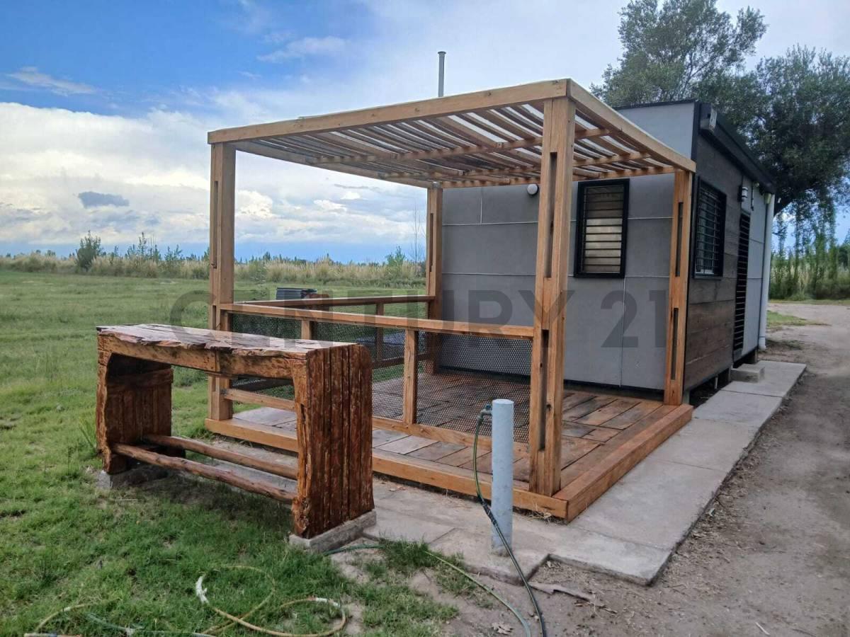 Foto de VENTA FINCA DE 16 HA, EN RUTA PCIAL 165, SAN RAFAEL, MENDOZA, imagen 3