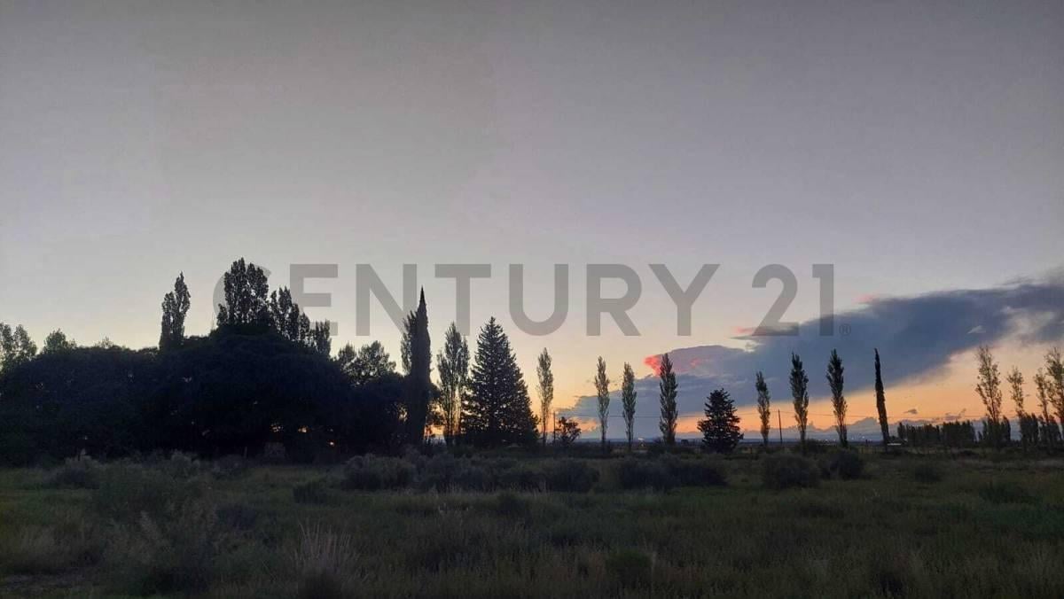 Foto de LOTE EN VENTA EN EL CERRITO - SAN RAFAEL, imagen 2
